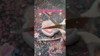 CUTTING MY TABA SQUISHY! ️ *rip*