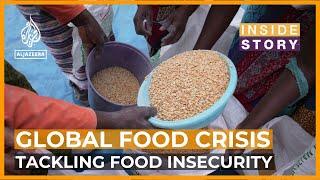 How can we reduce global food insecurity? | Inside Story