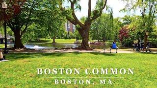 Boston Common Scenic Walk - [Boston, Massachusetts] - 4K Walking Tour with Binaural 