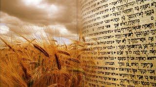 The Torah of Kindness & Truth - A Shavuot Shiur | Rabbi Jonathan Sacks