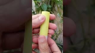 #eoslipbalm #eos || EOS Lip Balm Review || #eosproducts #shorts #short #shortvideo