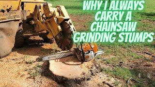 Why I always carry a chainsaw grinding stumps