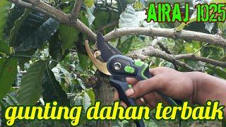 Tes Ketajaman Gunting Dahan AIRAJ 1025 - Gunting Dahan Terbaik