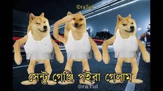 Rajib x Doge | Sentu genji poira gelam andar kobere doge version #shorts