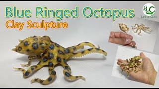 Sculpting Blue Ringed Octopus (Hapalochlaena lunulata) using polymer clay_Life of Clay