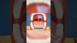 Факты о человеке #психофакт #человек #тело #факты # организм  #вау
