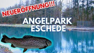 NEUERÖFFNUNG Angelpark Eschede: Forellenangeln an der Bärenkuhle mit den FTM Lifter Lures im Test