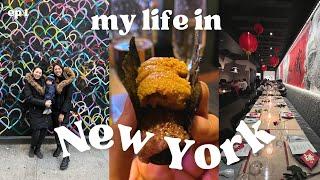 NYC Vlog: Omakase Sushi by Bou, LinkedIn tour, Galentines dinner ️ 2023 ep 1