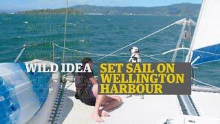 Wild Idea: Set Sail on Wellington Harbour