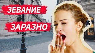 А вы ЗНАЛИ, что зевание заразно?