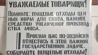 КОРМЛЕНИЕ ЧЕРВЯ кухонными отходами в домашних условиях