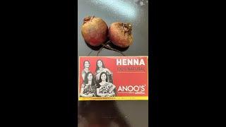 Anoo's Henna Expert #DeepuTeluguVlogs