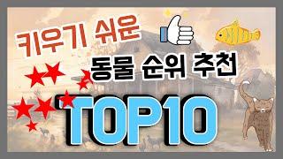 키우기 쉬운 동물 순위 추천 TOP 10