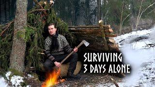 I'm Surviving 3 Days Building a Shelter! Winter Camping