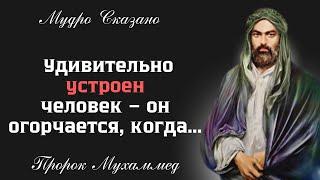 Великие и очень мудрые слова пророка Мухаммеда