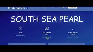 Earn Passive Income With Crypto   Get 0 6% Daily Profit   PEARL Network User Guide