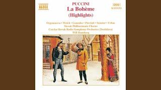 La bohème: Vecchia zimarra, senti