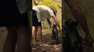 СПАС КОЗЛЁНКА КОТОРЫЙ ЗАПУТАЛСЯ #парадеевич #paradeev1ch