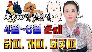 ▶2020년 4~6월 닭띠 개띠 돼지띠 경자년 운세 확인하세요.