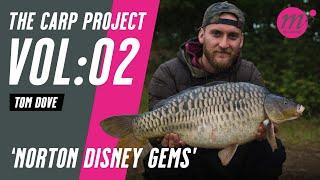 NORTON DISNEY GEMS with Tom Dove | THE CARP PROJECT | VOL:02 - Mainline Baits Carp Fishing TV