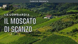 Il Moscato di Scanzo, la (quasi) più piccola DOCG italiana | Tannico