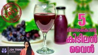 Instant grape wine | Home made grape wine | Grape wine in 5 days | X'MAS special | J2H Trine Vlogs