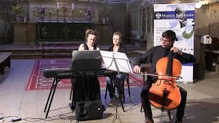 Musica Barcensis  - X - Alpha Trio @Ghimbav/ Weidenbach