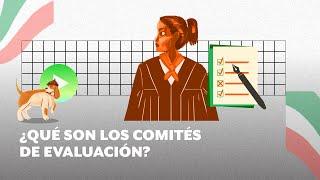 ¿Qué son y cuáles son las tareas de los Comités de Evaluación?