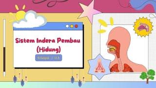 ⋆ ˚｡  mengenal sistem indera pembau 🪞