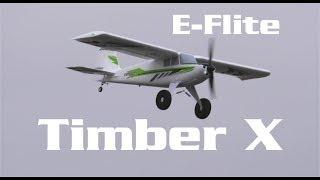Super Fun E-Flite Timber X 1.2m Review | HobbyView