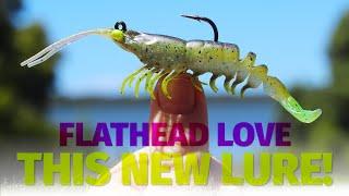 Flathead Love this Lure! How to Catch Flathead on the ZMan 3.5" PrawnZ Elite Pre-Rigged Soft Plastic