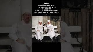 Собачье сердце» – шедевр советского кино, который должен увидеть каждый! #кино #сериалы