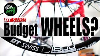 Gravel, Cross, or Road? BUDGET DT Swiss C1800 Wheels  -  Wheelset Quick Check