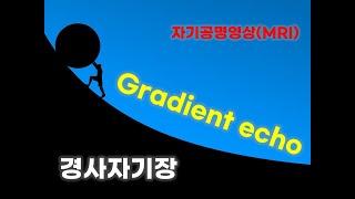 Gradient echo pulse sequence #MRI #자기공명영상 #MR pulse sequence