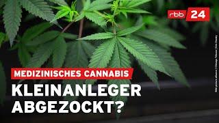 600 Millionen Euro: Betrug mit medizinischem Cannabis