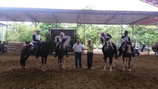 Exibición de caballos pintos en la I Gran Exposición de la Independencia