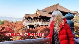 ADEYTO LIVE KYOTO KIYOMIZU TEMPLE AUTUMN LEAVES 2021