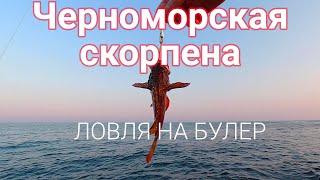 Ловля скорпены с берега в Черном море. Рыбалка в Болгарии. Скорпена с берега. Морская рыбалка.