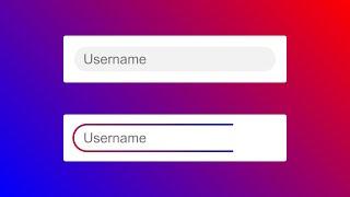 Input Field Border Animation Using HTML & CSS. | CSS Border Animation.