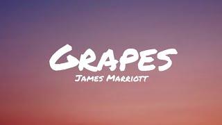 Grapes ▪︎ James Marriott