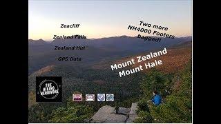 Mount Hale | Mount Zealand | Zeacliff | NH4000 | Hammock Camping