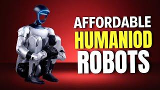 Affordable humanoid robots you can buy