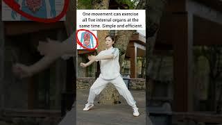 Best Taichi Exercises Wudang Zidong