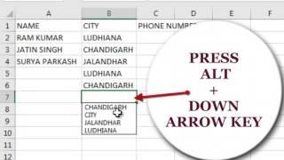 Excel for Beginners - Auto Complete Feature