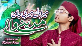 Mera Dil Aur Meri Jaan Madine Wale | Muhammad Kaleem Raza Rehmani | New Kalam 2024 | Official Video