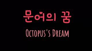 문어의 꿈-안예은 가사 | Octopus's Dream Ahn Ye Eun Lyrics