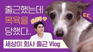 vlog | 세상이 출근 브이로그    | 세상무님과 설쌤의 목욕 꿀팁 공개! (목욕 초보 필수 시청  ) | 설채현 행동학 수의사