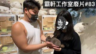 【霸軒】到米奇不妙屋抓大老鼠｜每週廢片#83｜台灣之心愛護動物協會