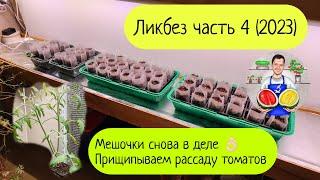 Ликбез часть 4 (2023). Сеем томаты в мешочки с микоризой. Прищипываем рассаду томатов.