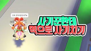 입양하세요 사기꾼한테 역으로 사기쳐서 펫 하나 받아버리기!